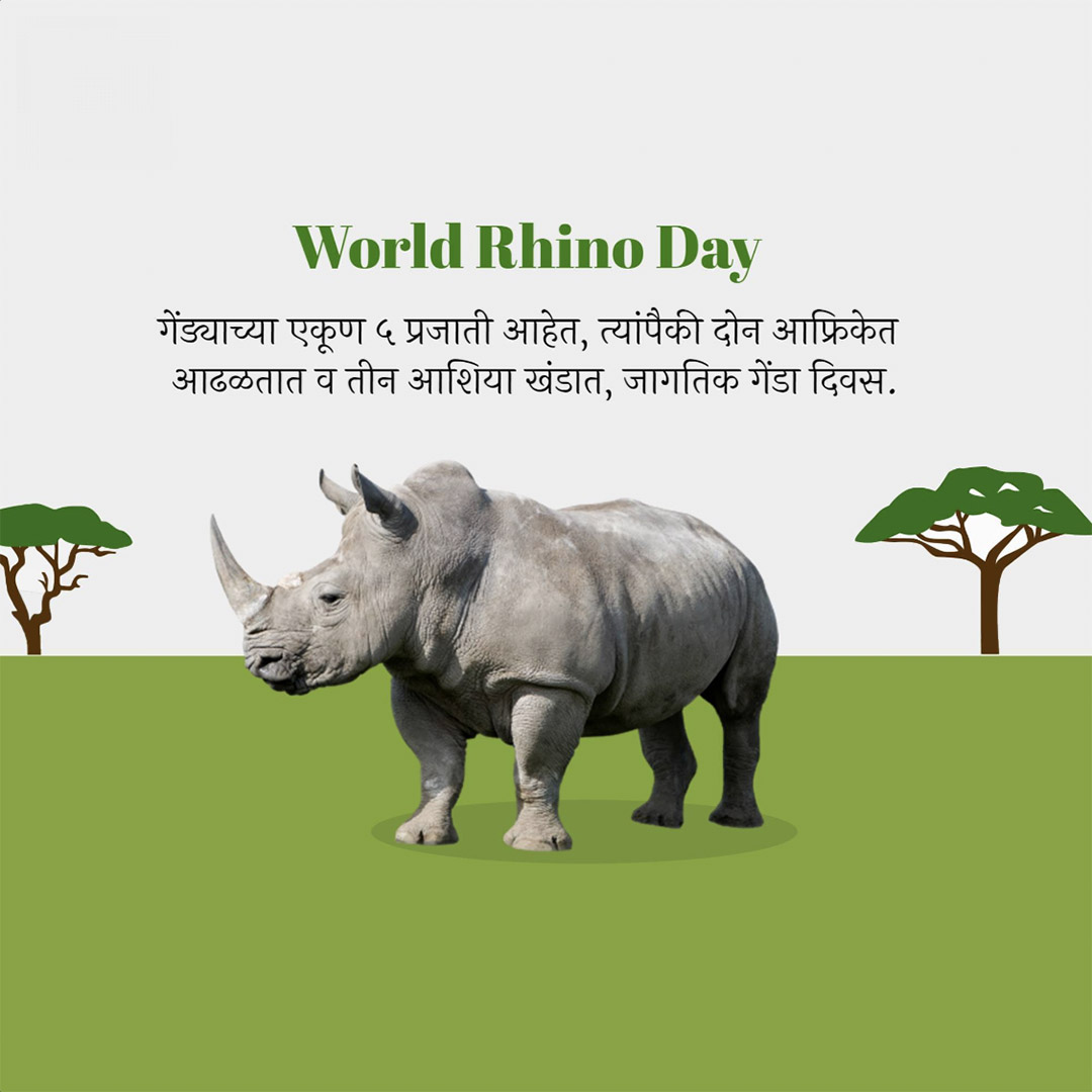 World Rhino Day