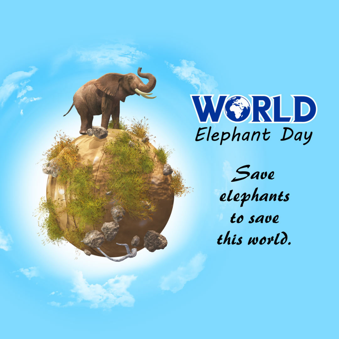 World Elephant Day