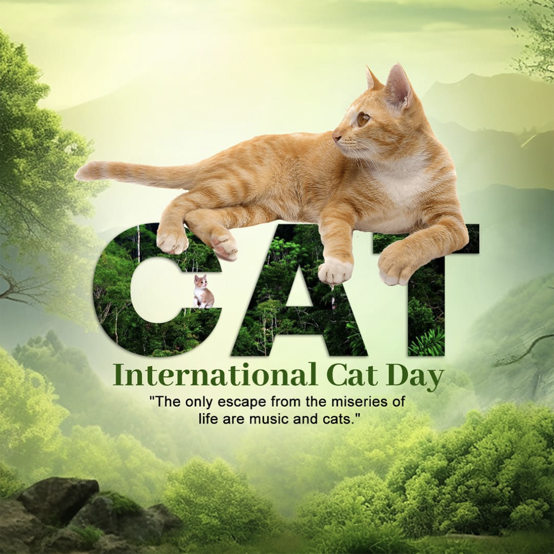 World Cat Day