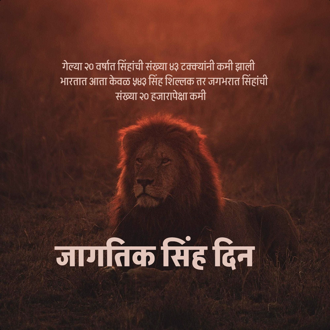 World Lion Day