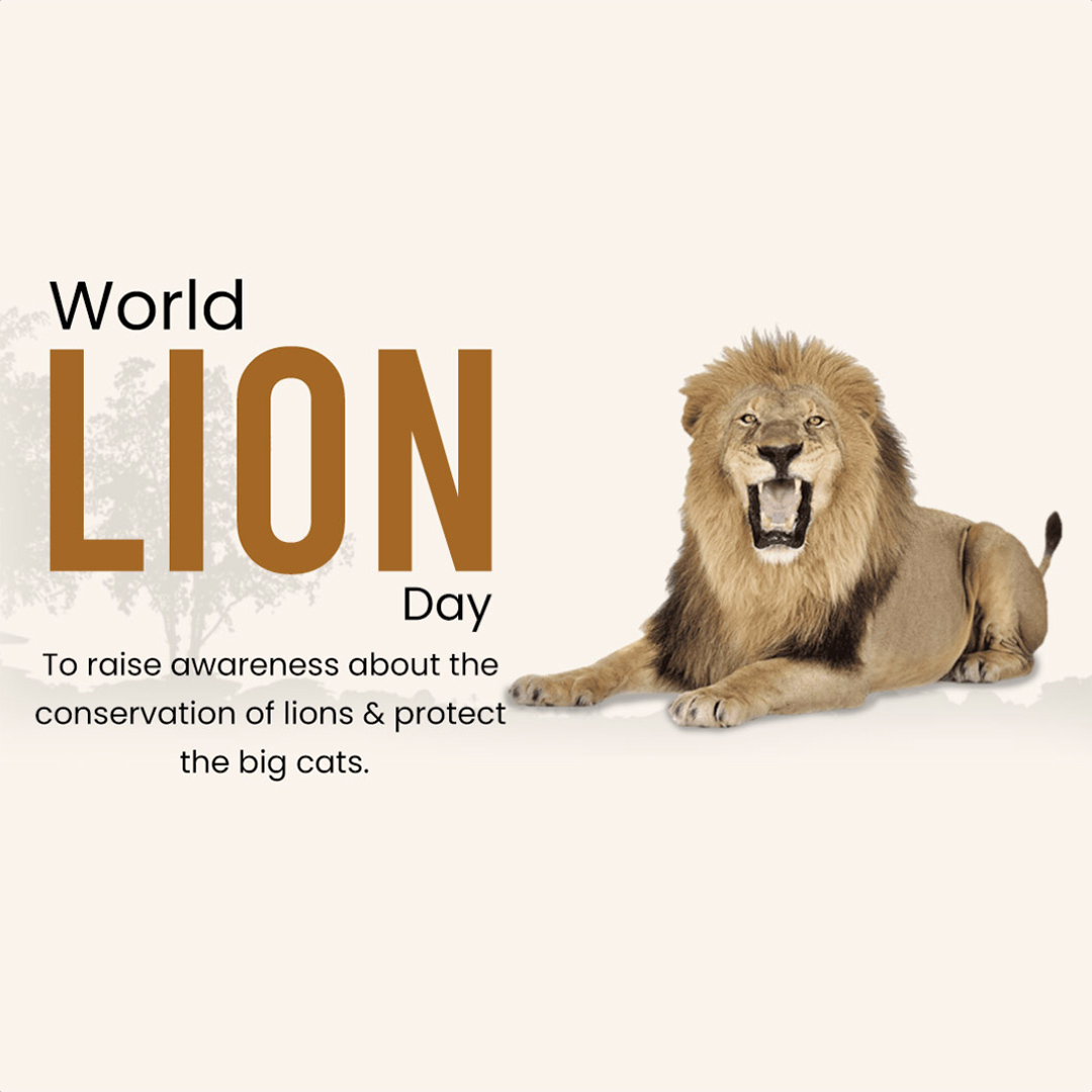 World Lion Day