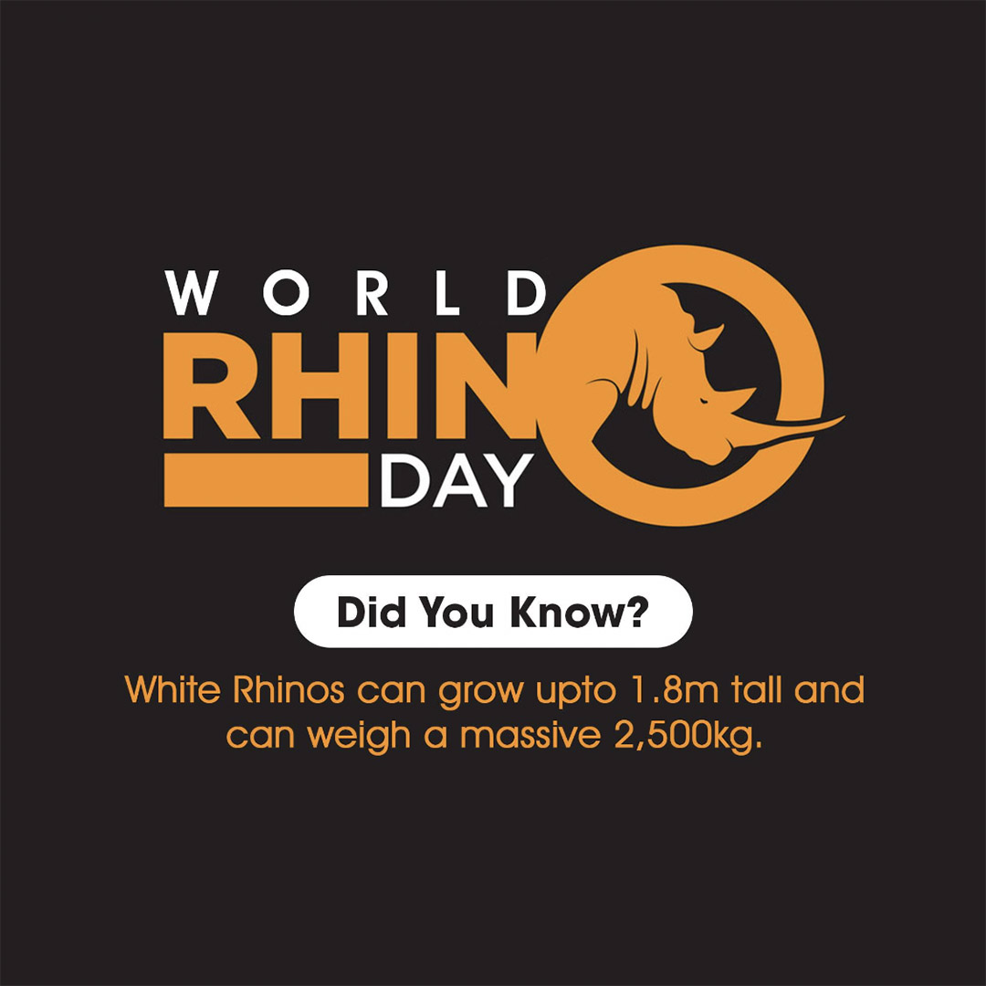 World Rhino Day
