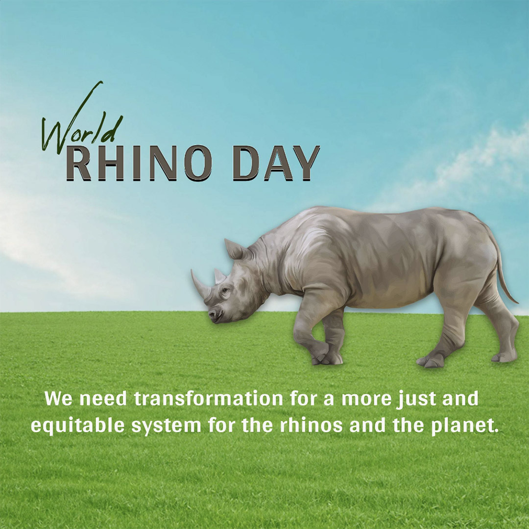 World Rhino Day