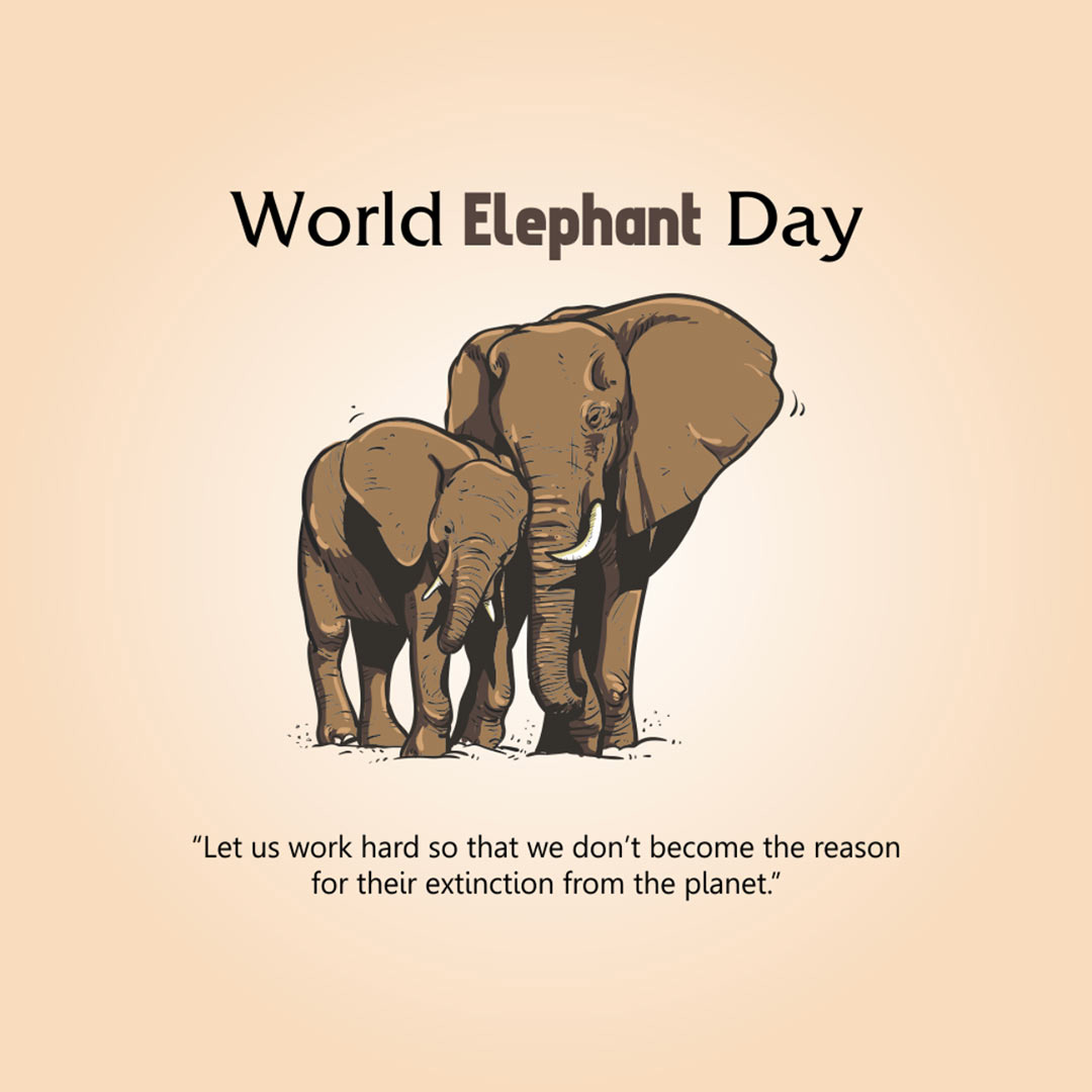 World Elephant Day