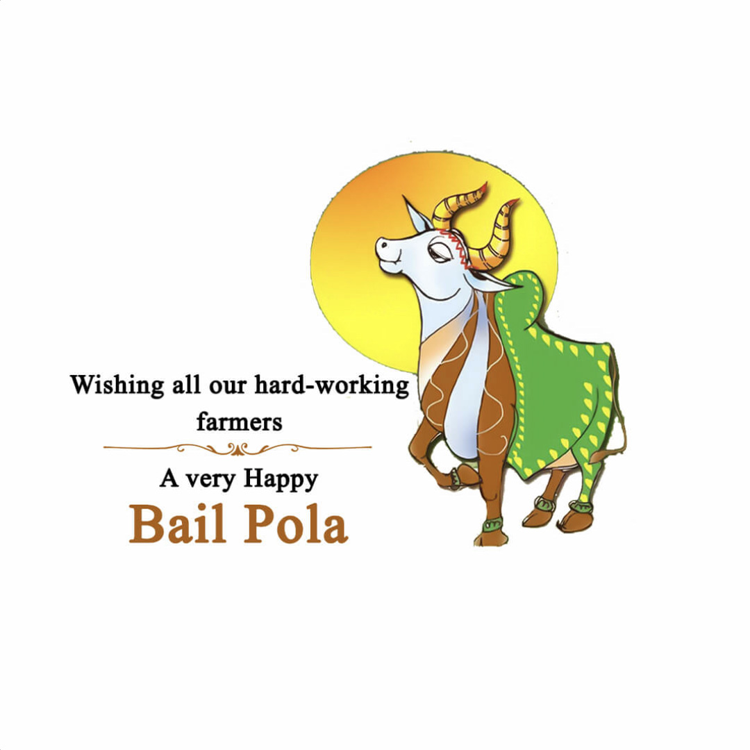 Bail Pola