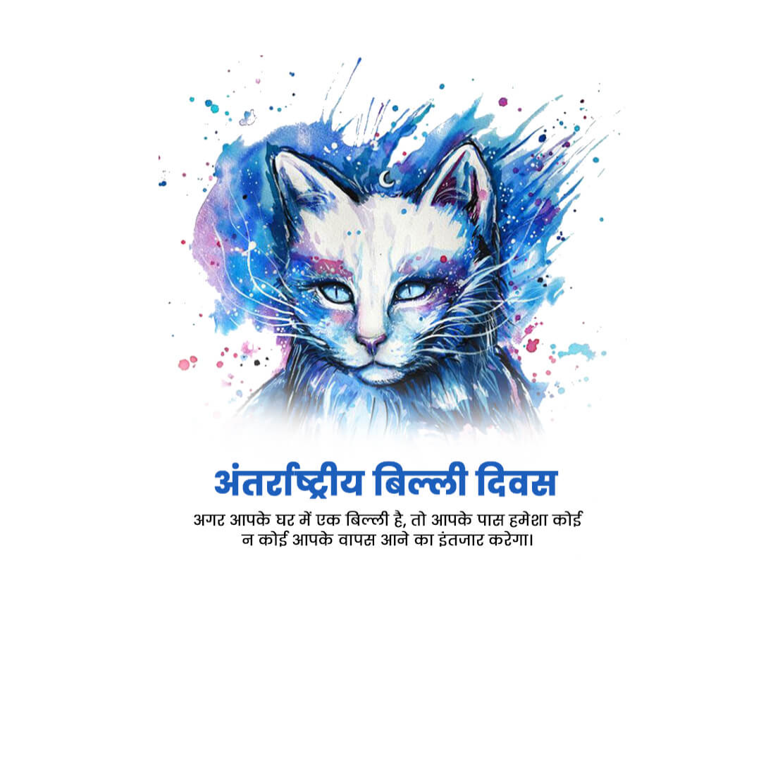World Cat Day