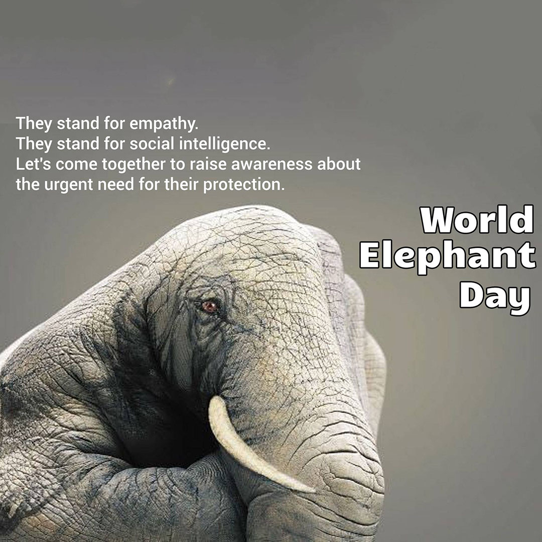 World Elephant Day