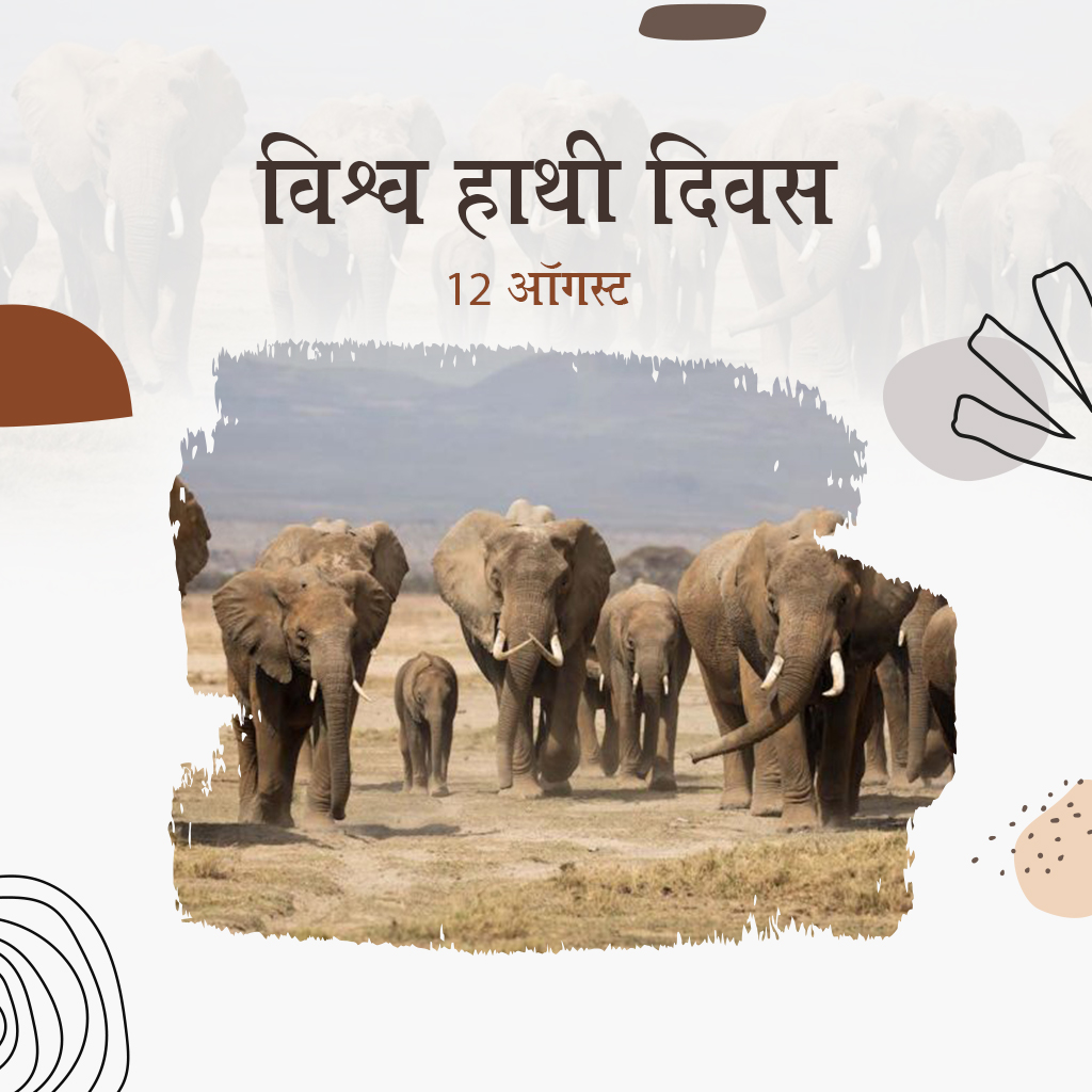 World Elephant Day