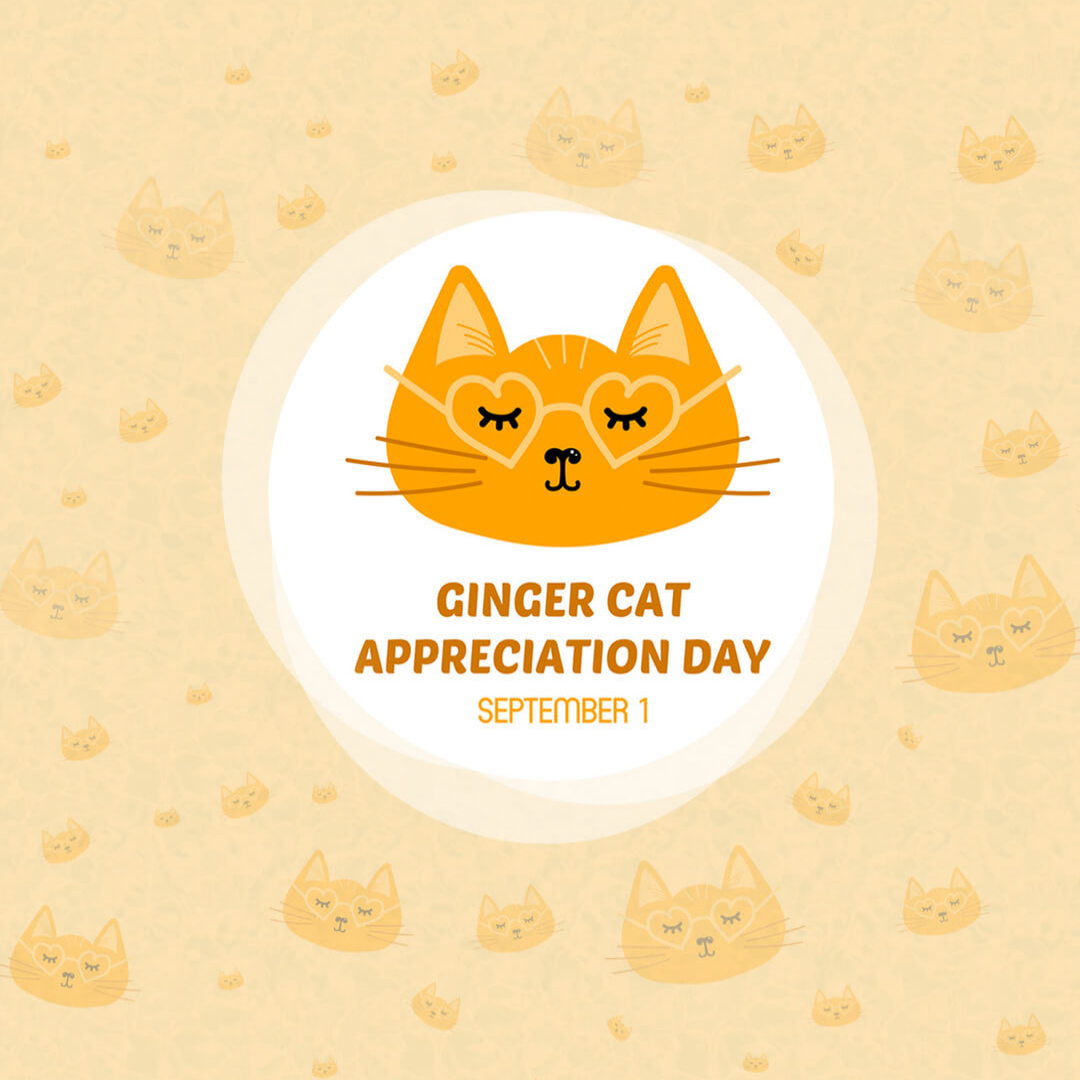 Ginger Cat Appreciation Day