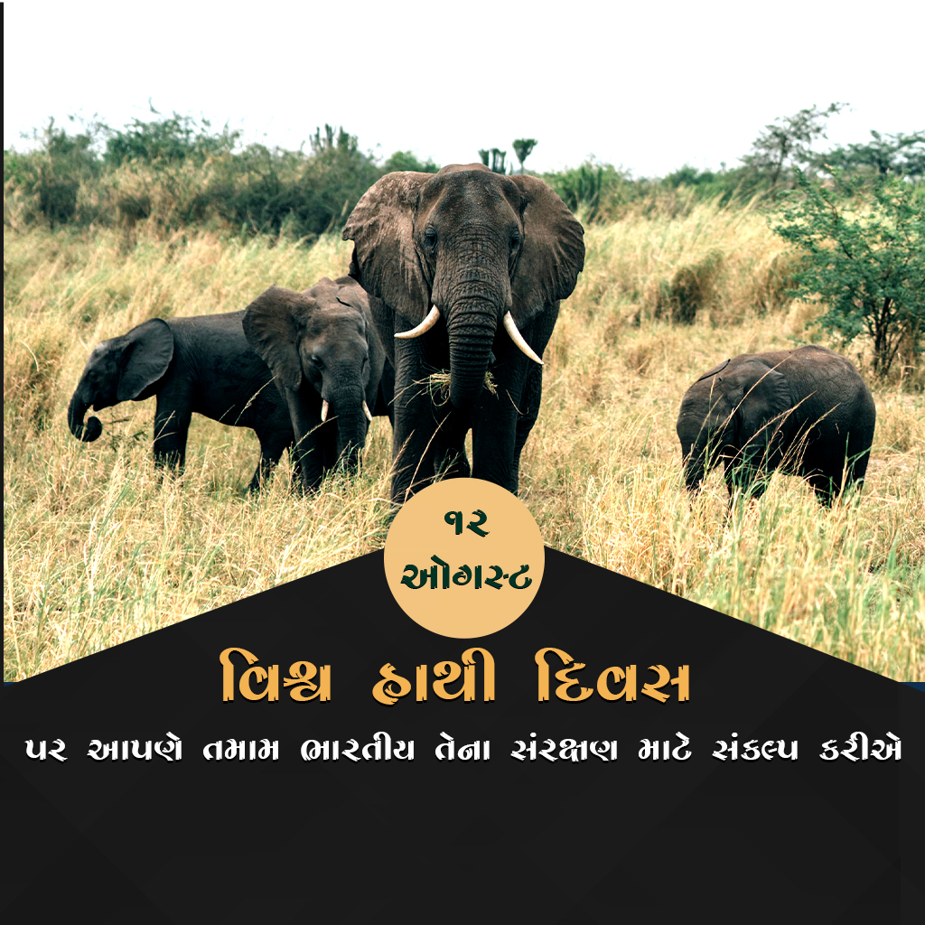 World Elephant Day
