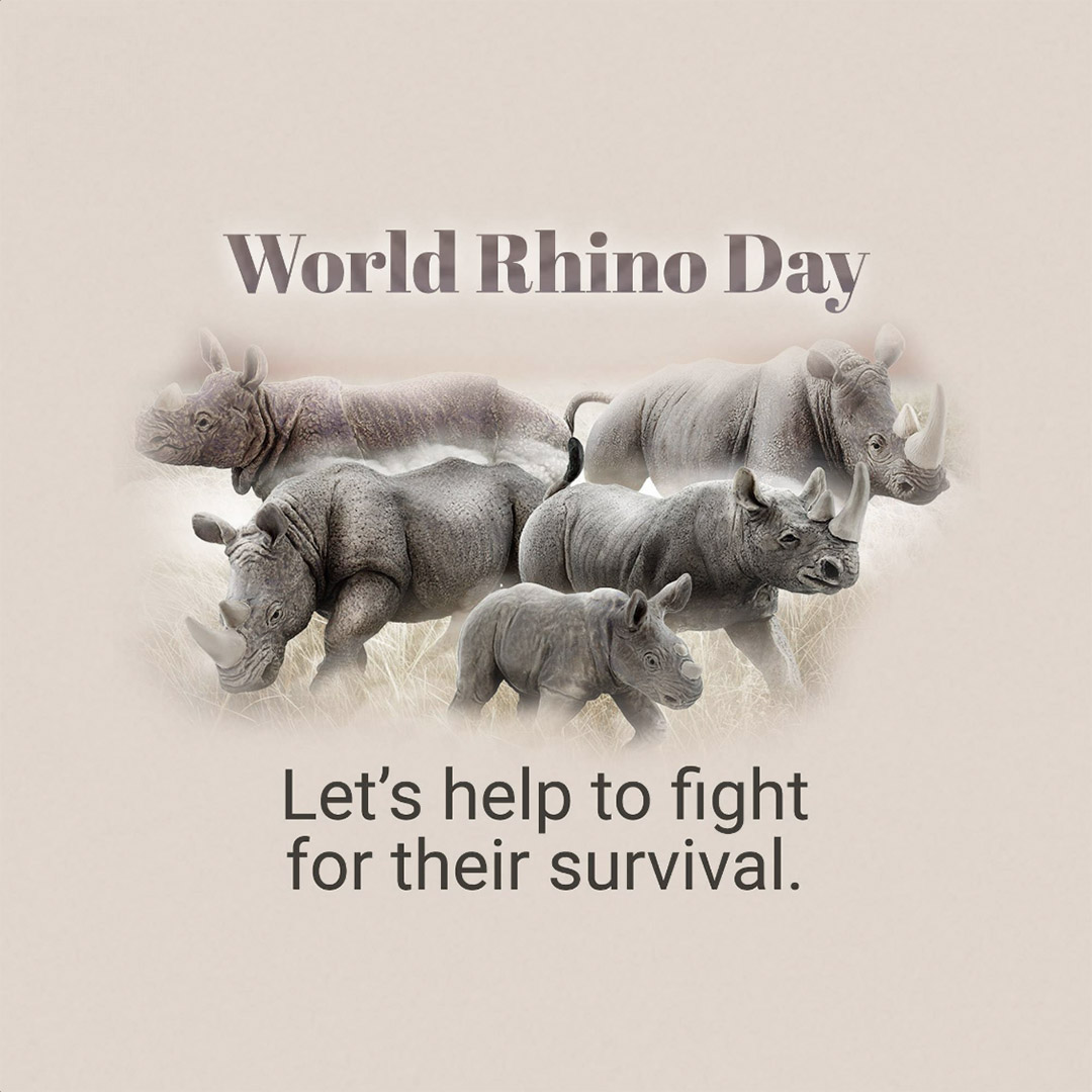 World Rhino Day