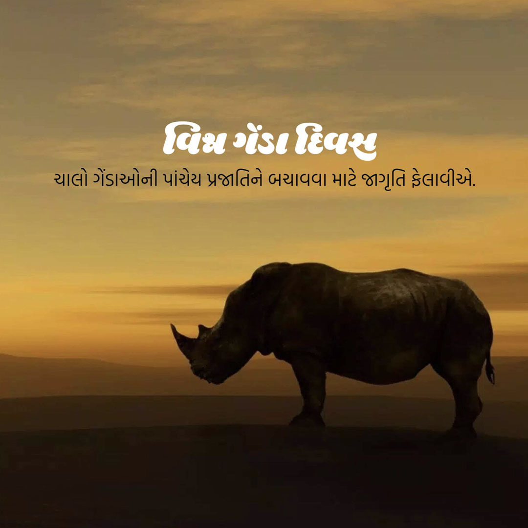 World Rhino Day