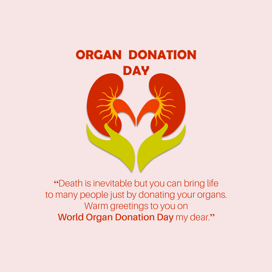 World Organ Donation Day