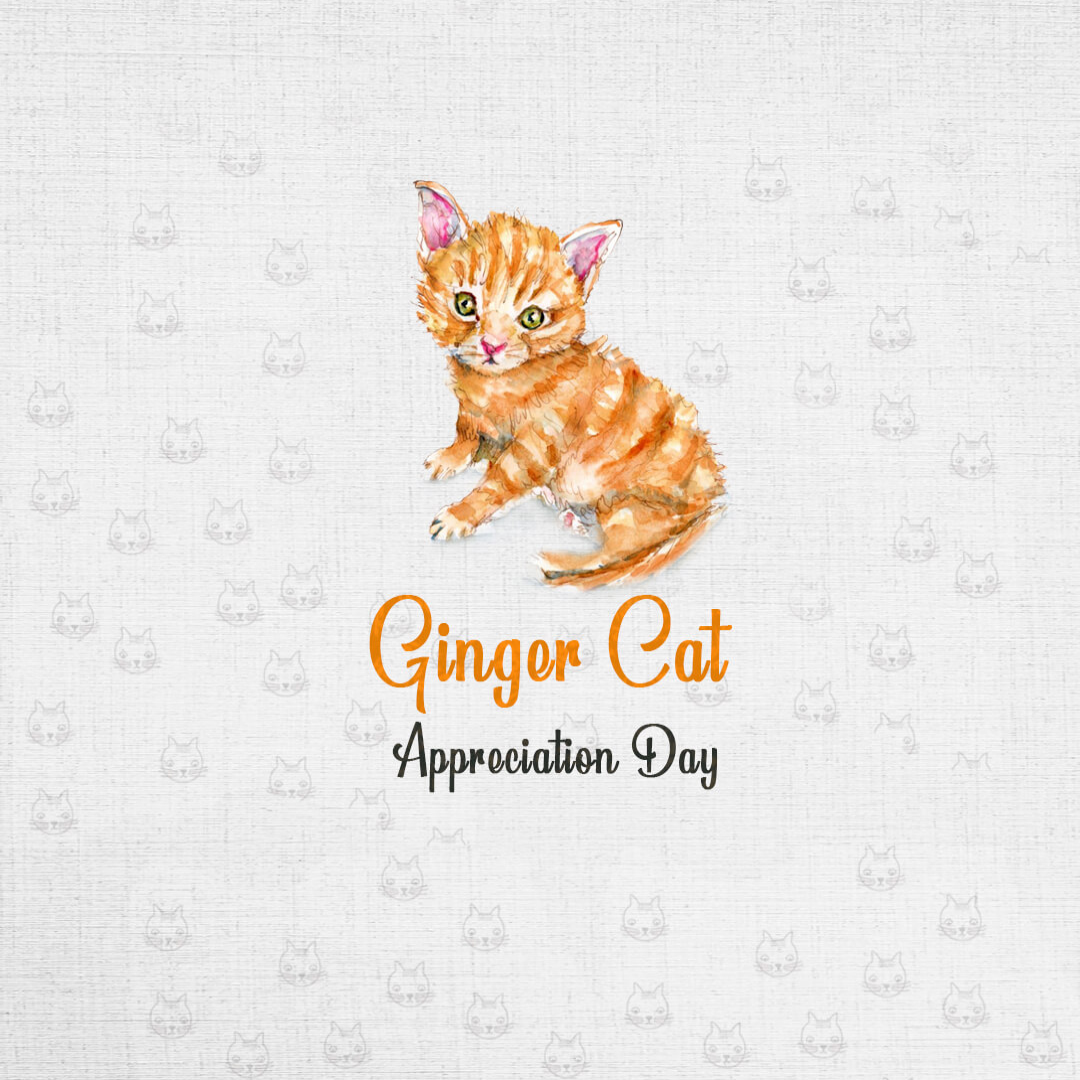Ginger Cat Appreciation Day