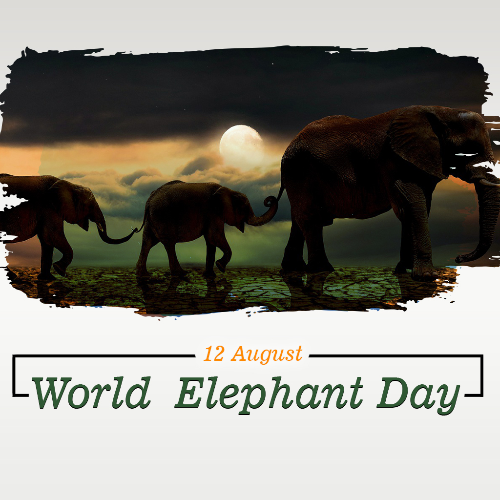 World Elephant Day