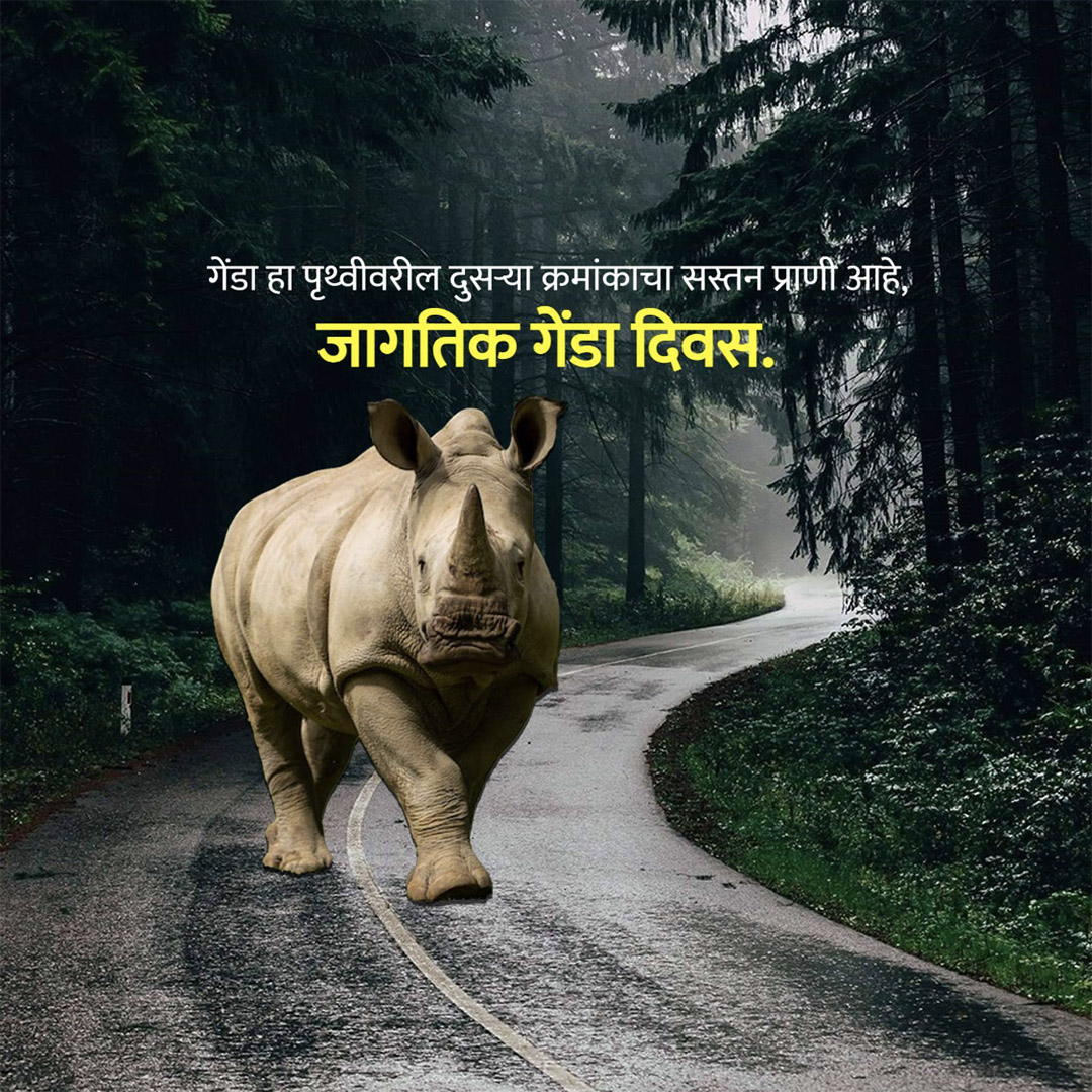 World Rhino Day