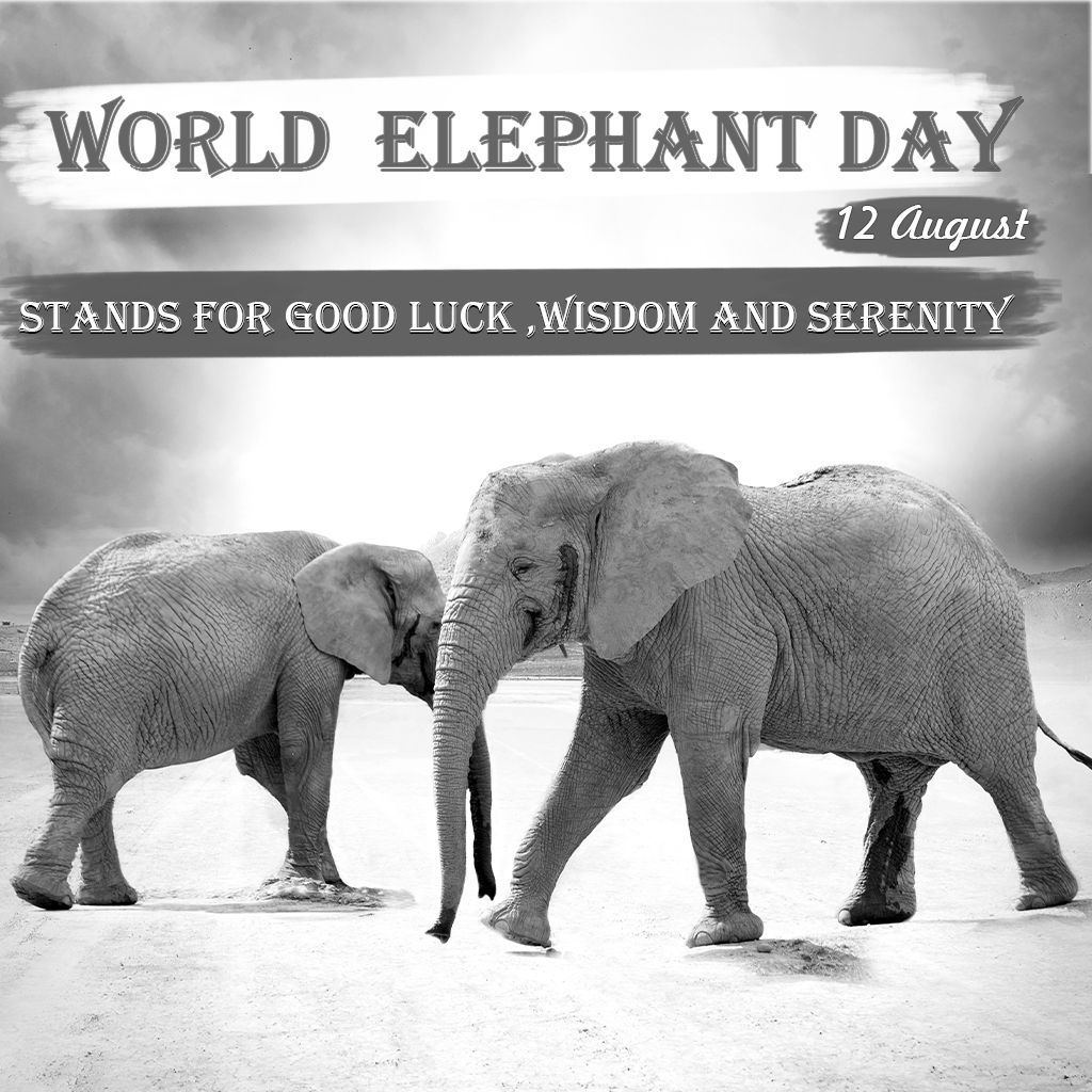 World Elephant Day