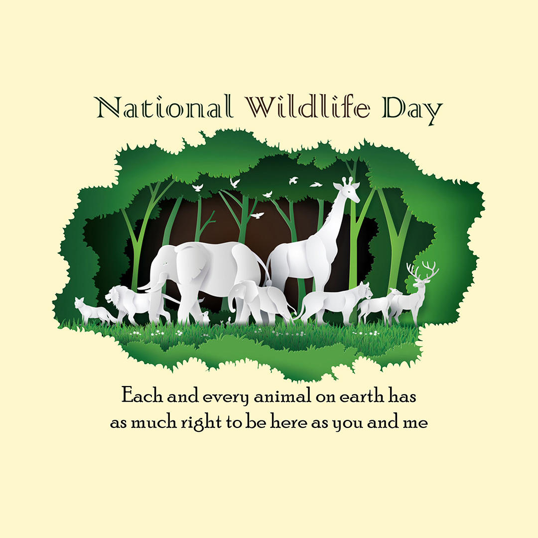 National Animal Day