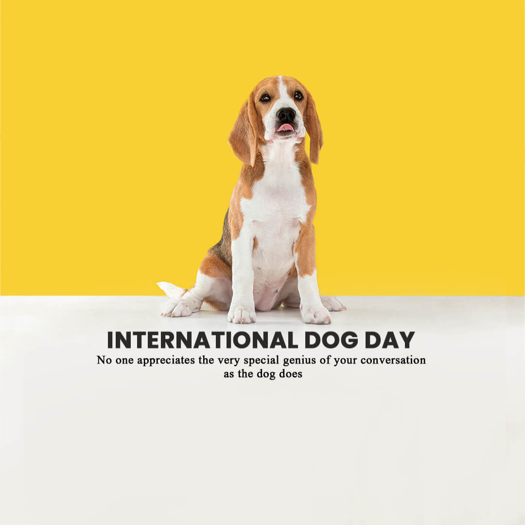 International Dog Day