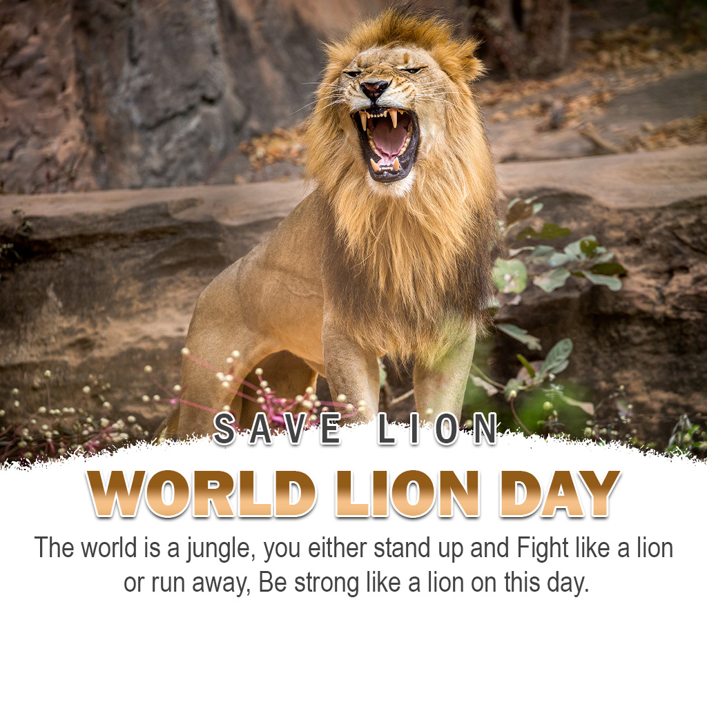 World Lion Day