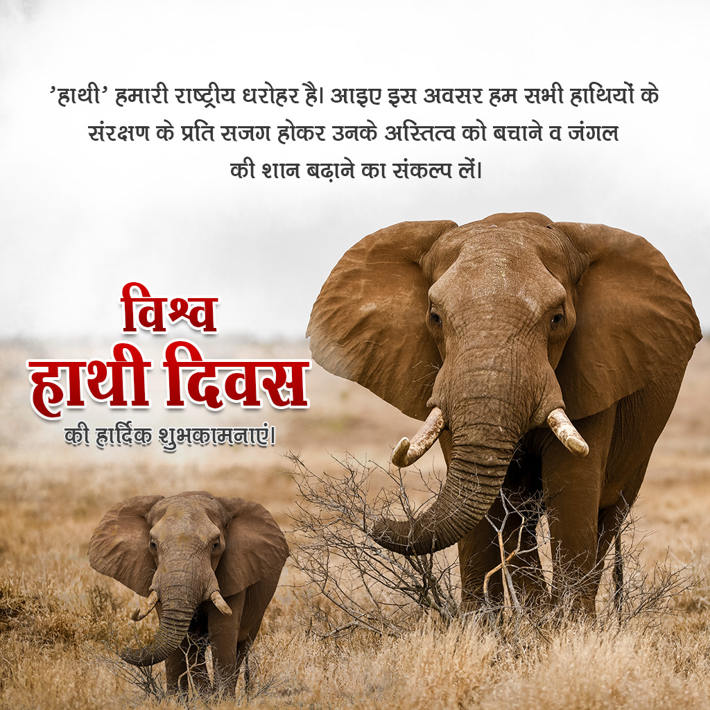 World Elephant Day