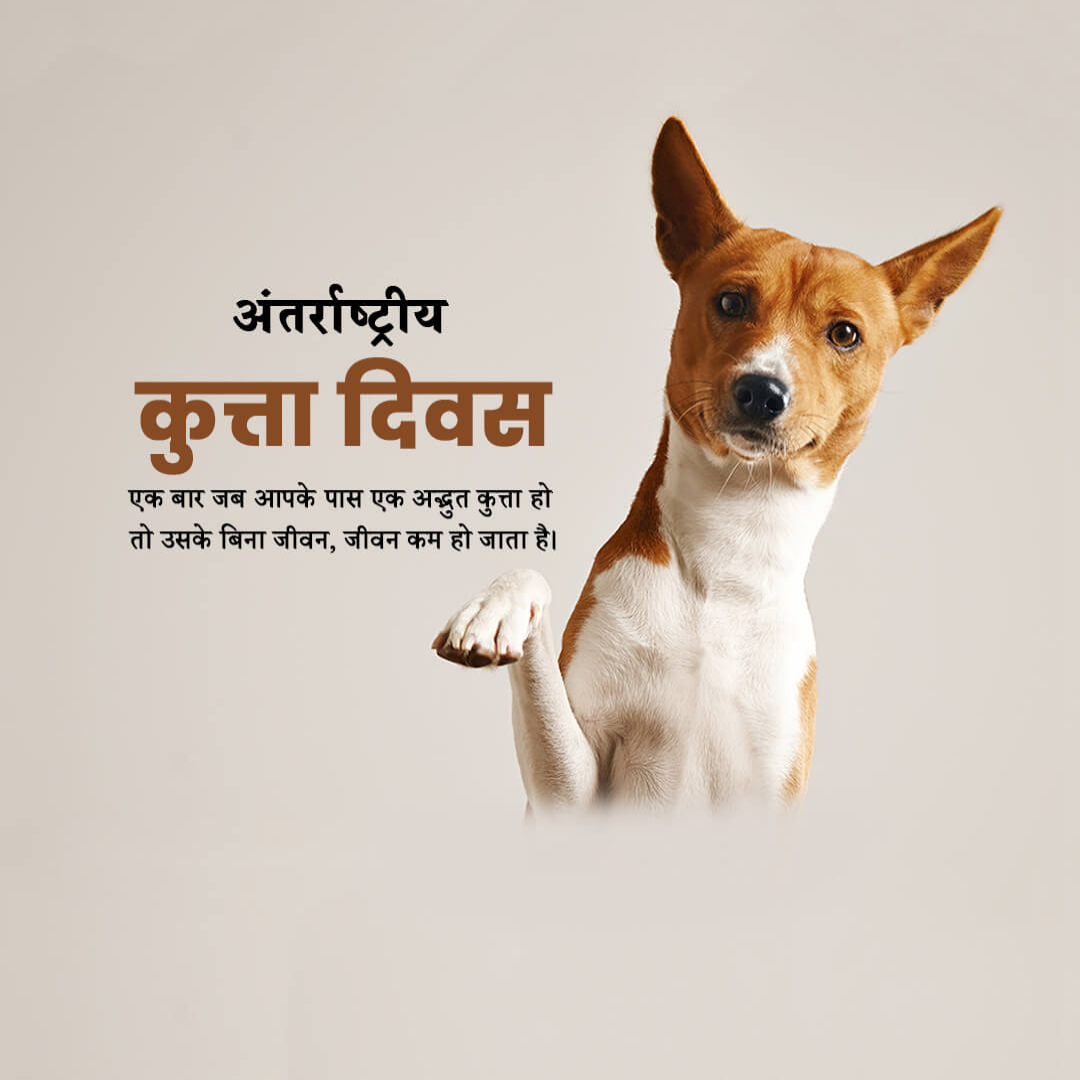 International Dog Day