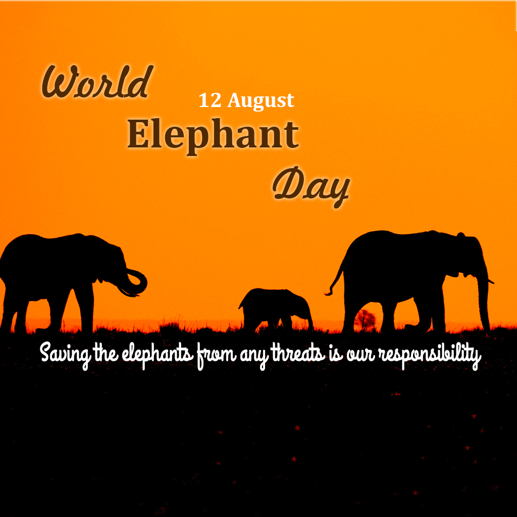 World Elephant Day