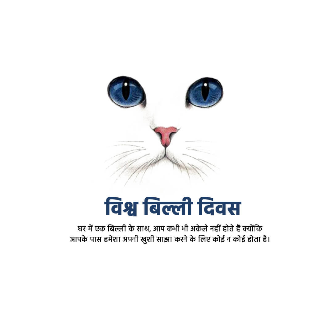 World Cat Day