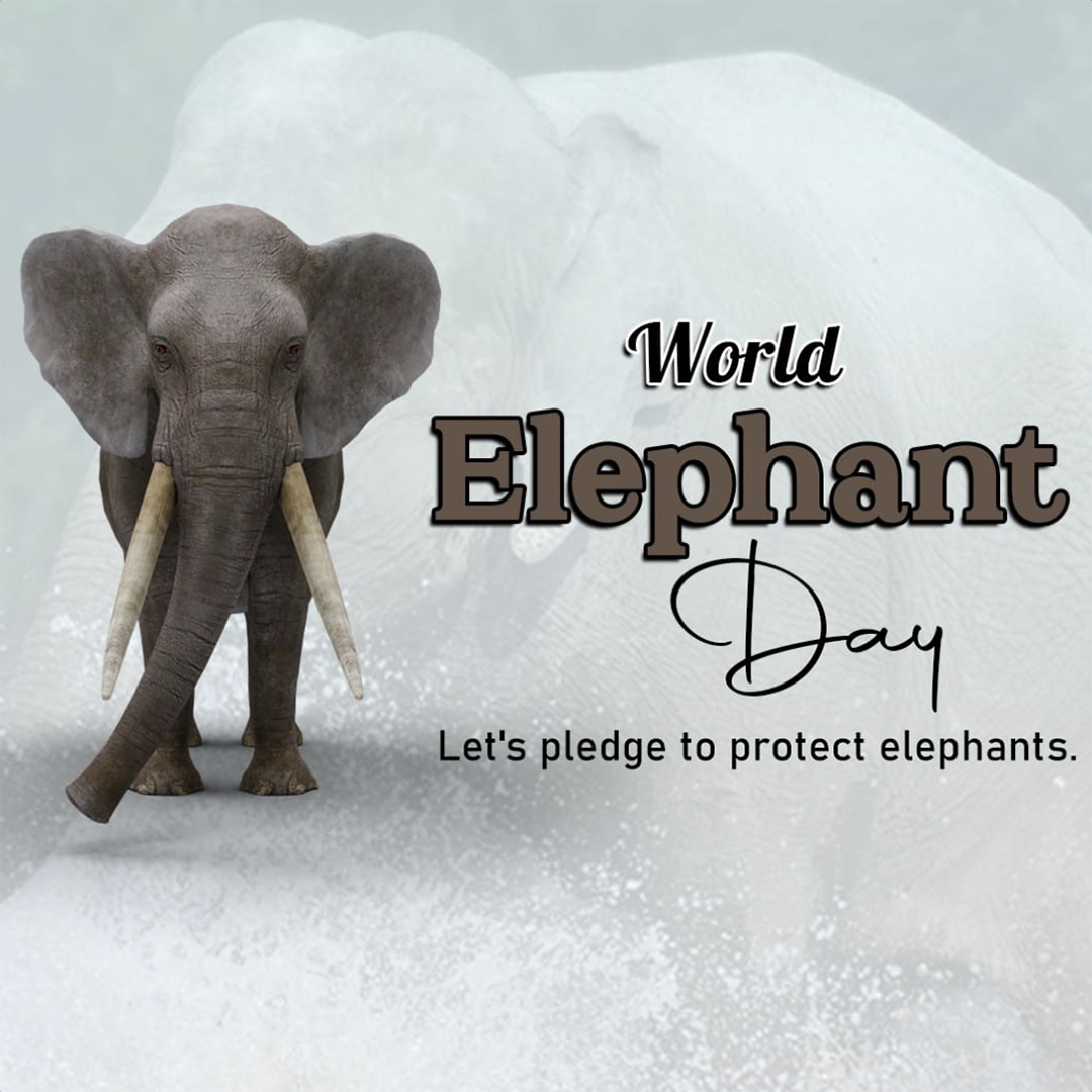 World Elephant Day
