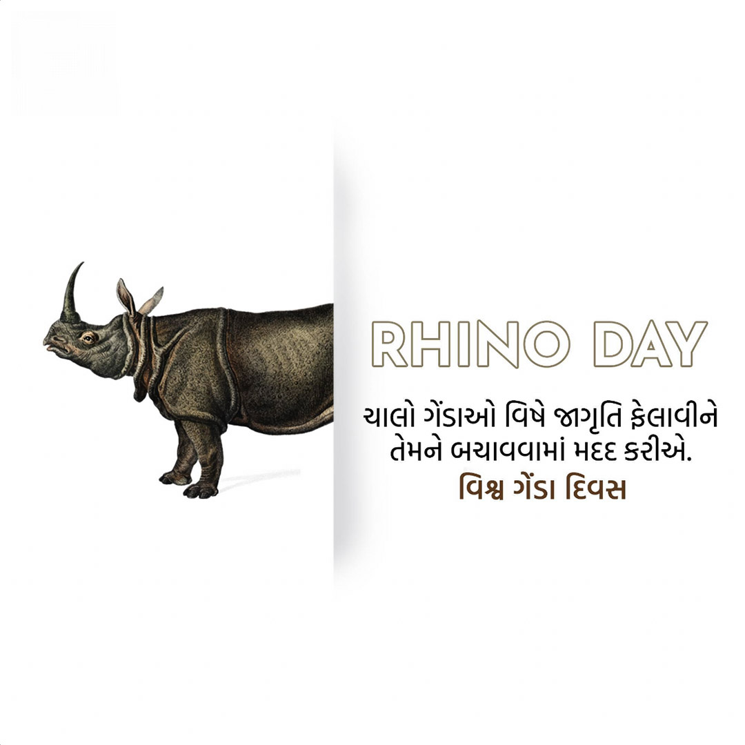 World Rhino Day