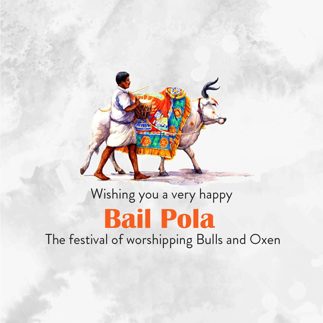 Bail Pola