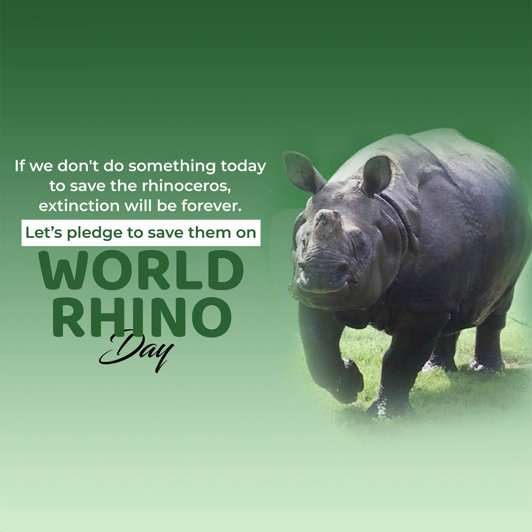 World Rhino Day