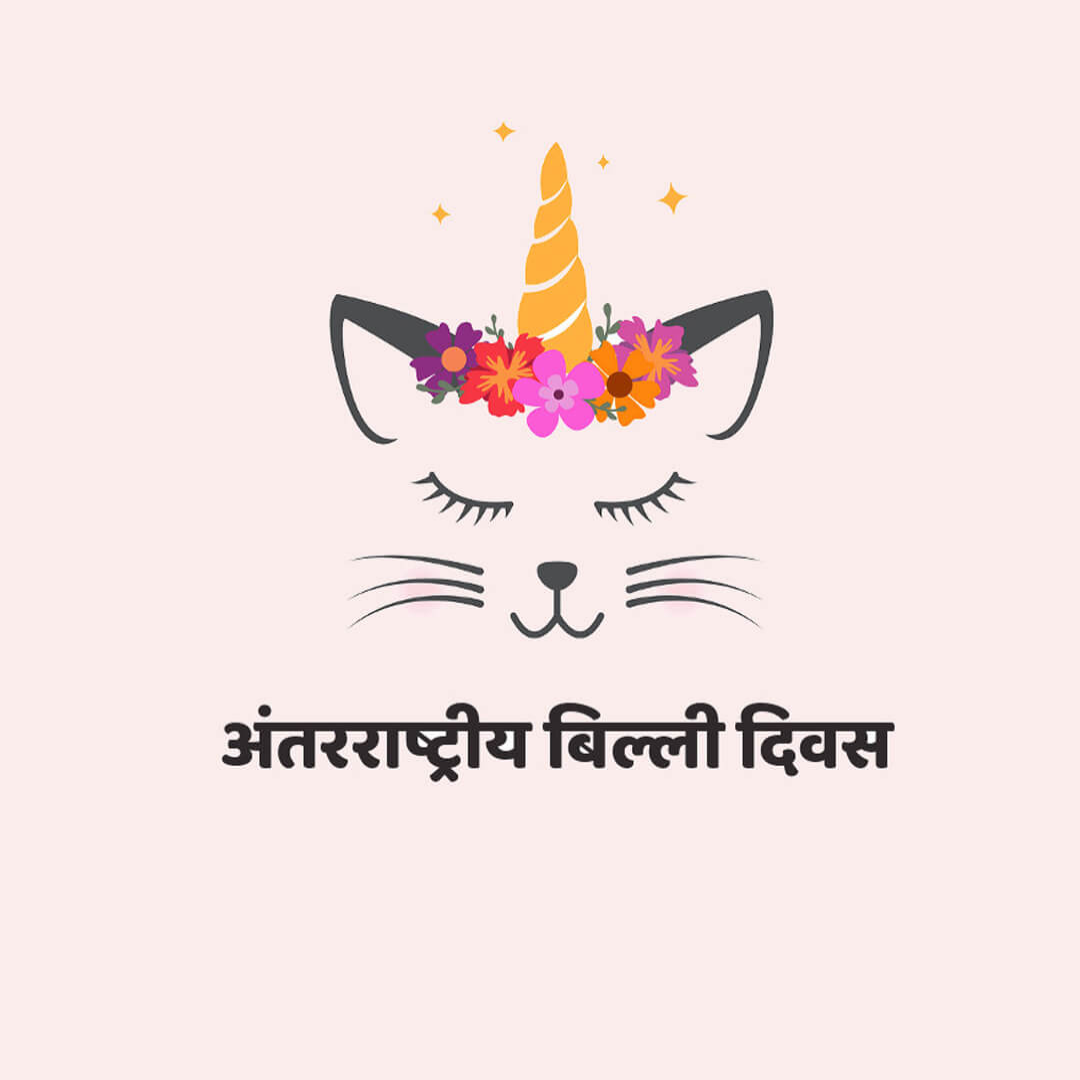 World Cat Day