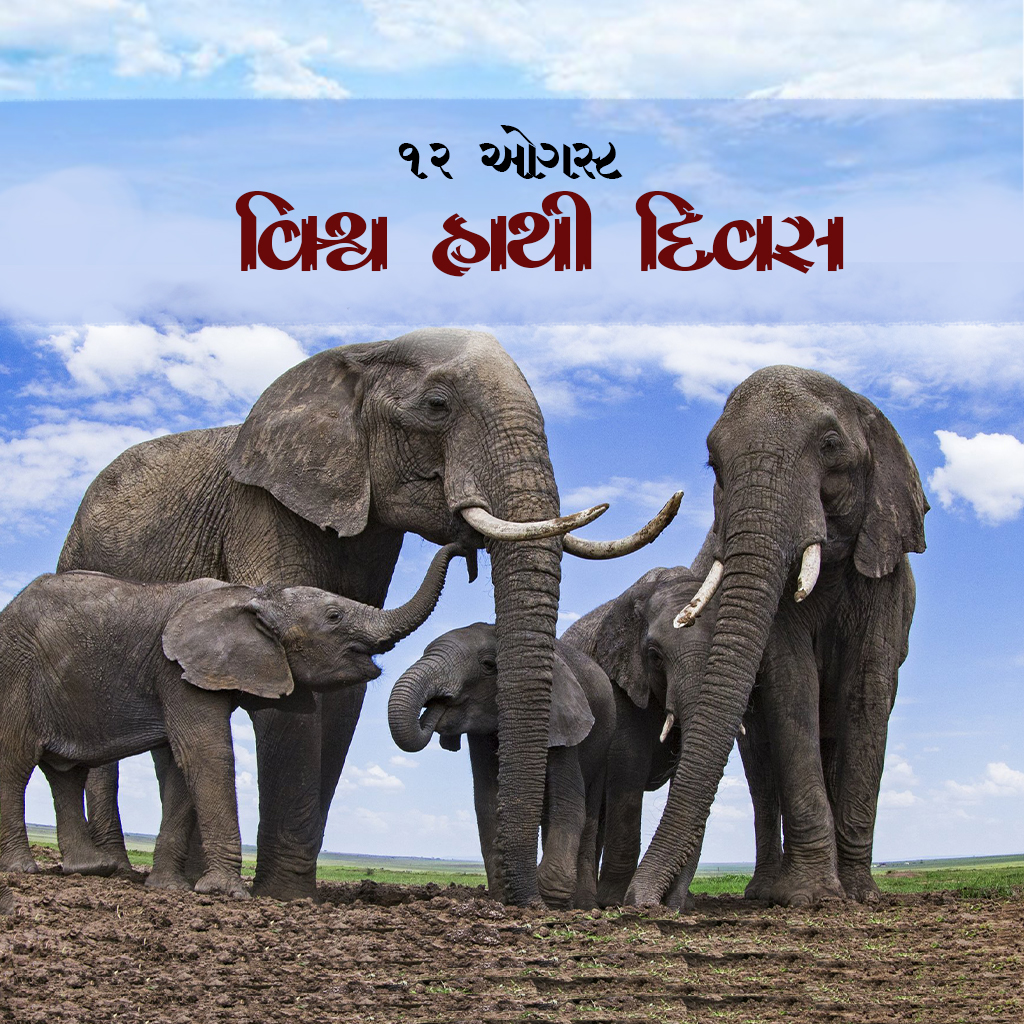 World Elephant Day