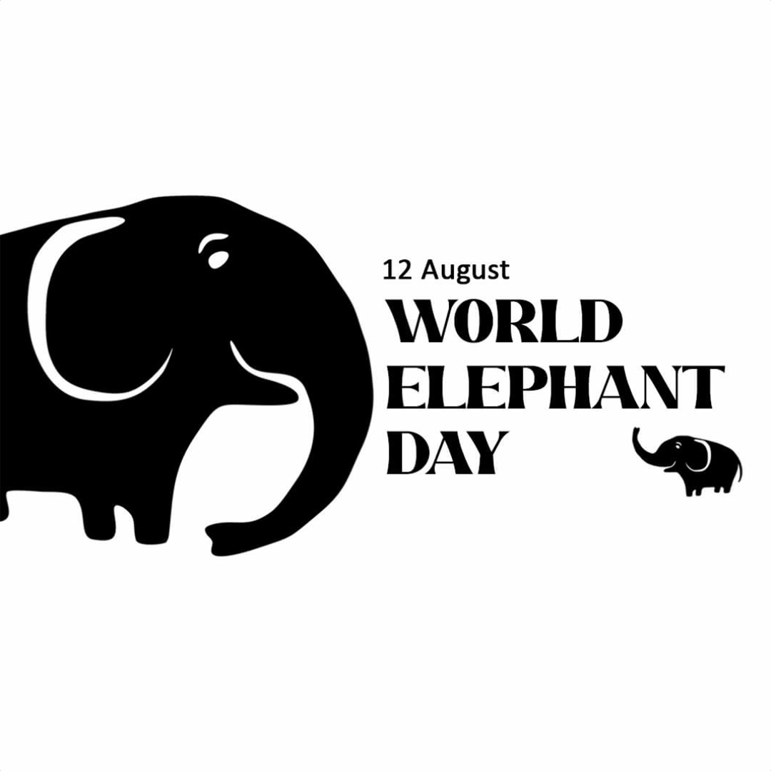 World Elephant Day