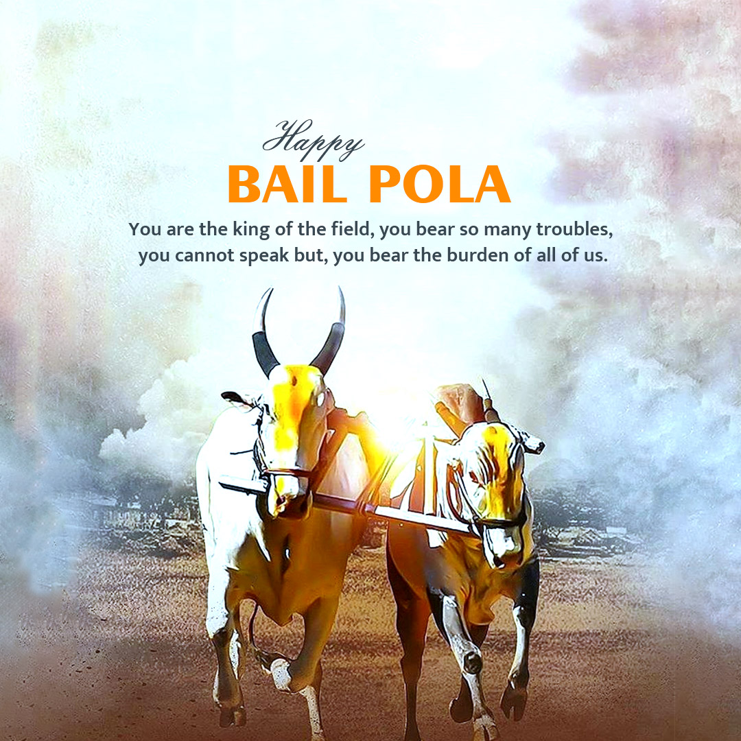 Bail Pola