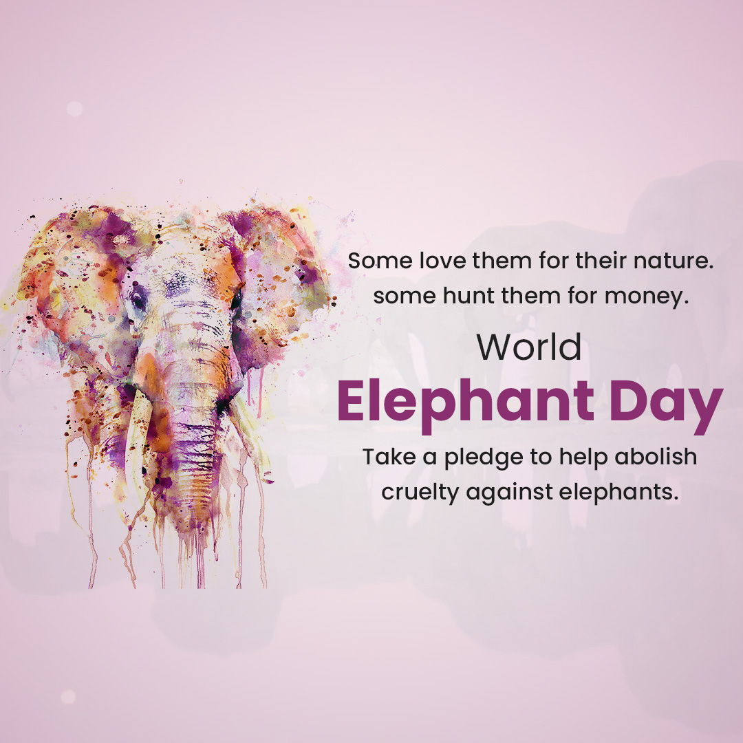 World Elephant Day