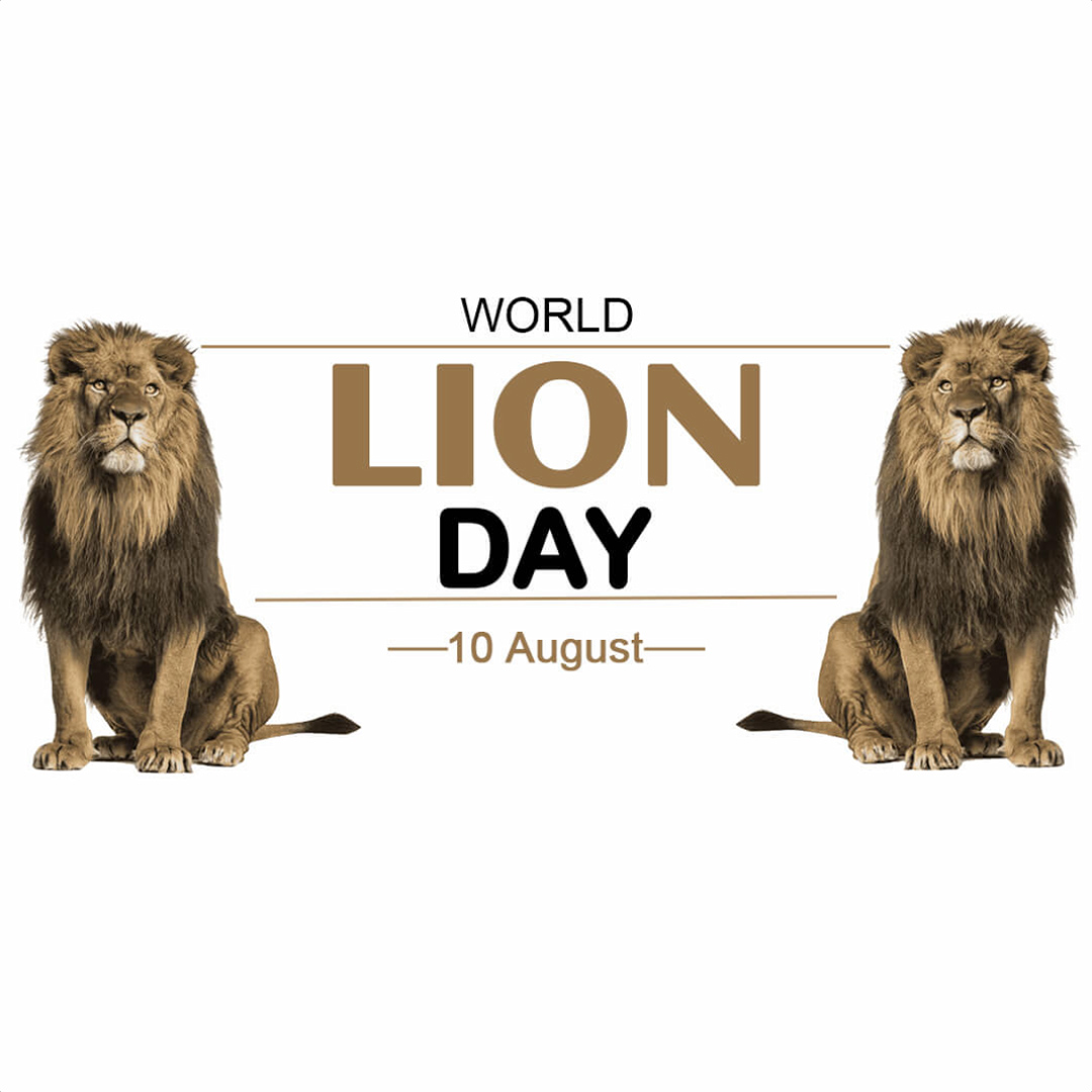 World Lion Day