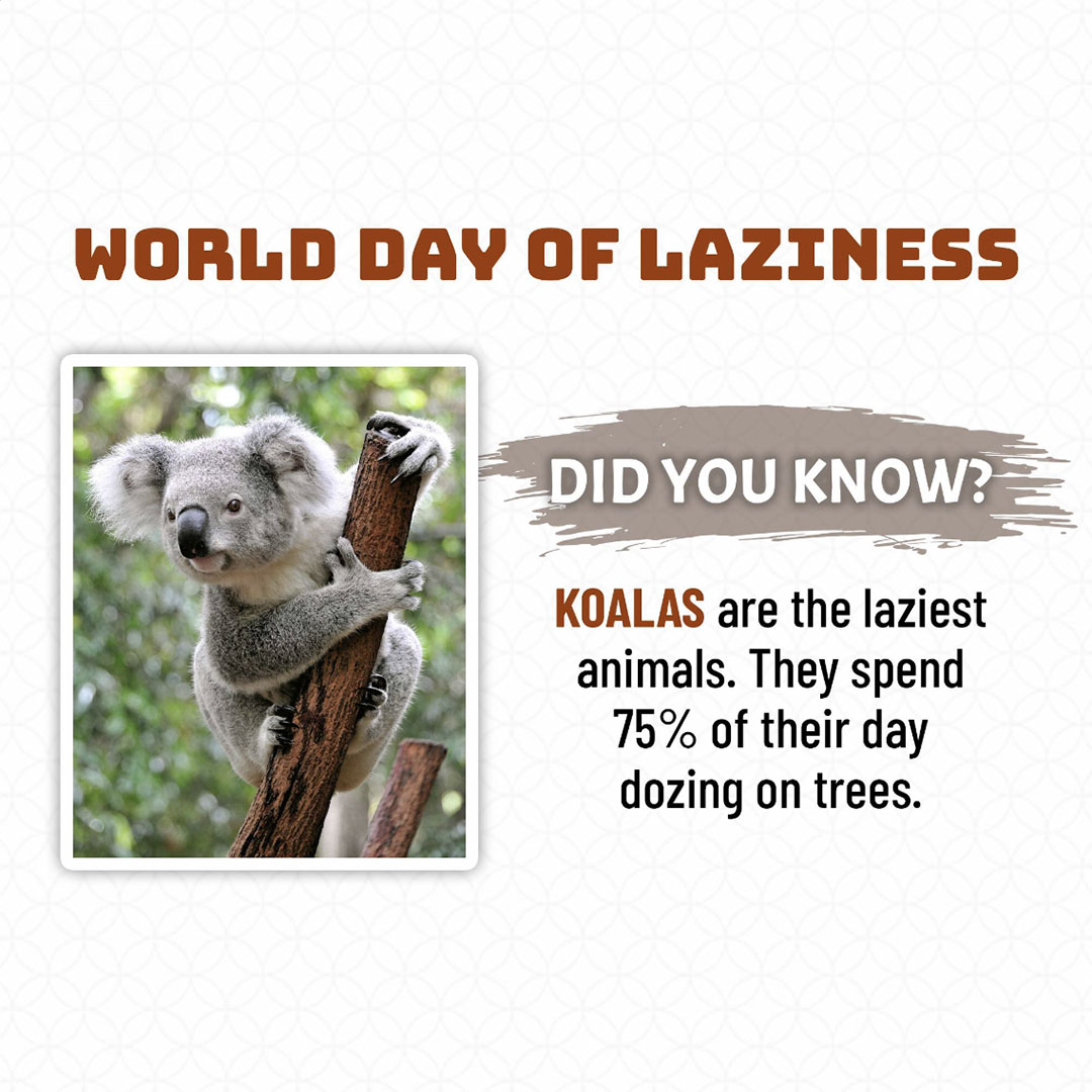 Day Of Laziness