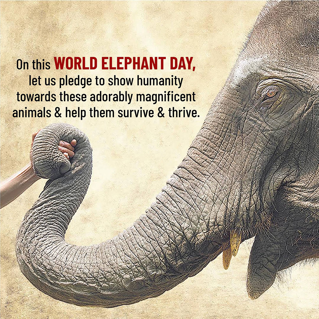 World Elephant Day