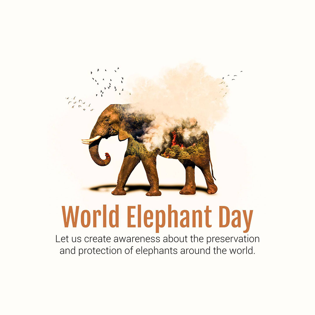 World Elephant Day