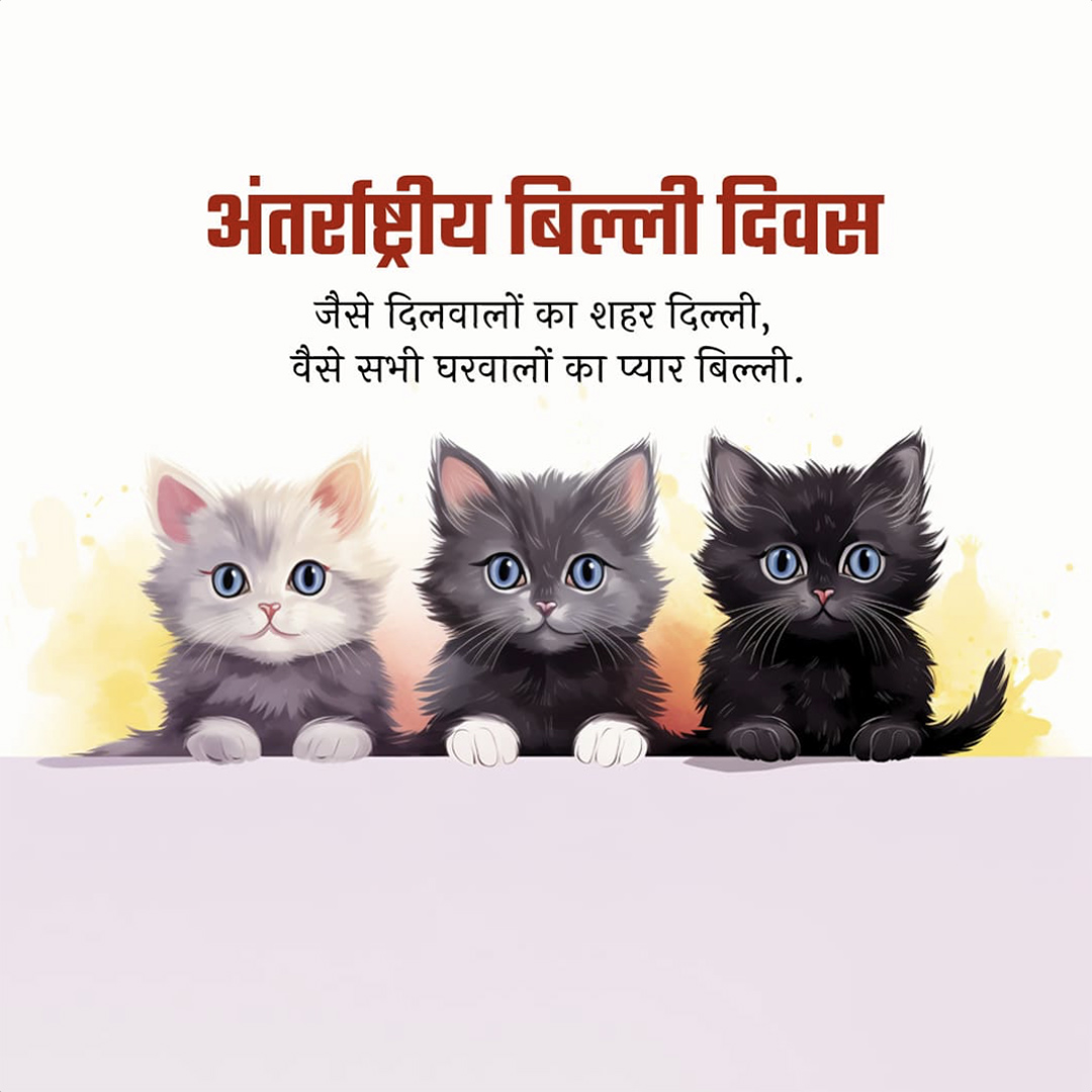 World Cat Day