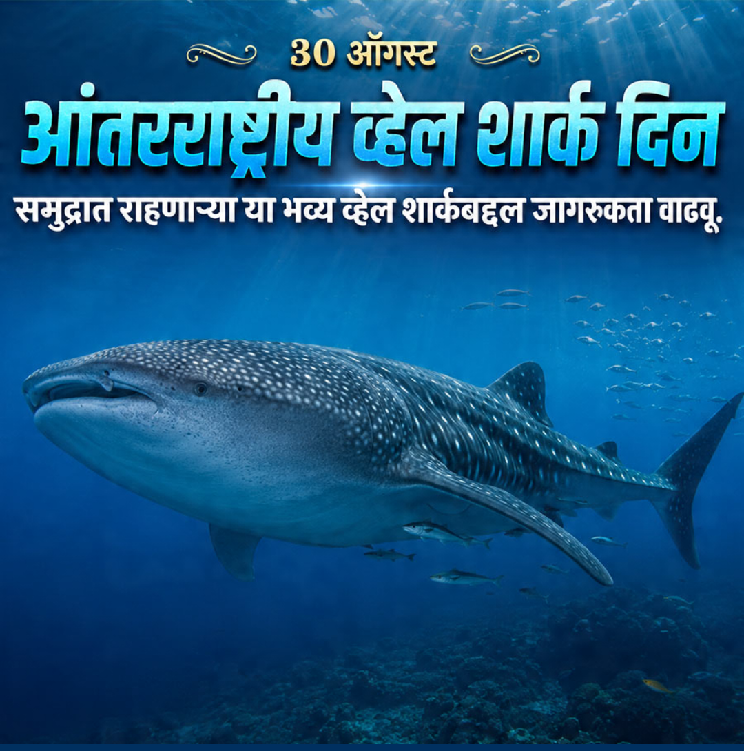 International Whale Shark Day