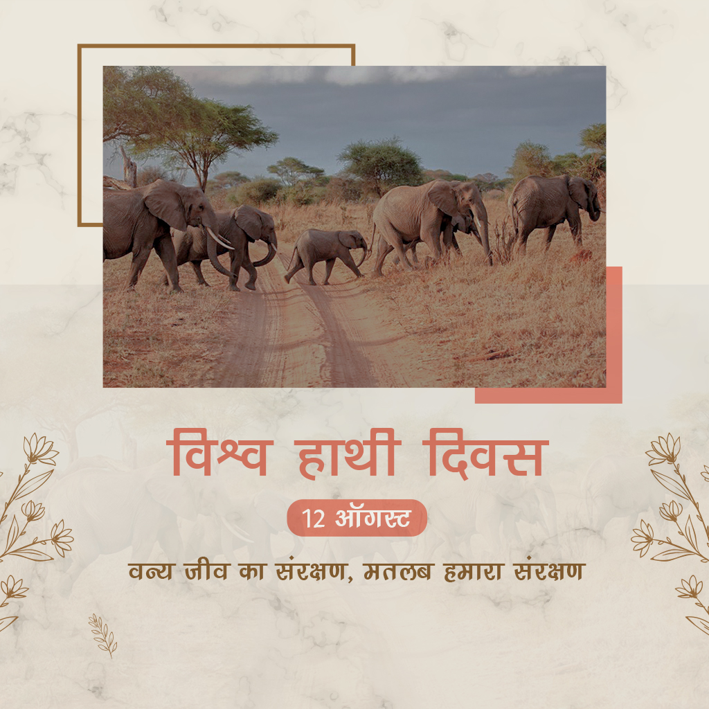 World Elephant Day