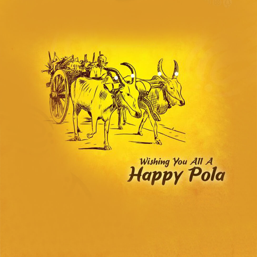 Bail Pola
