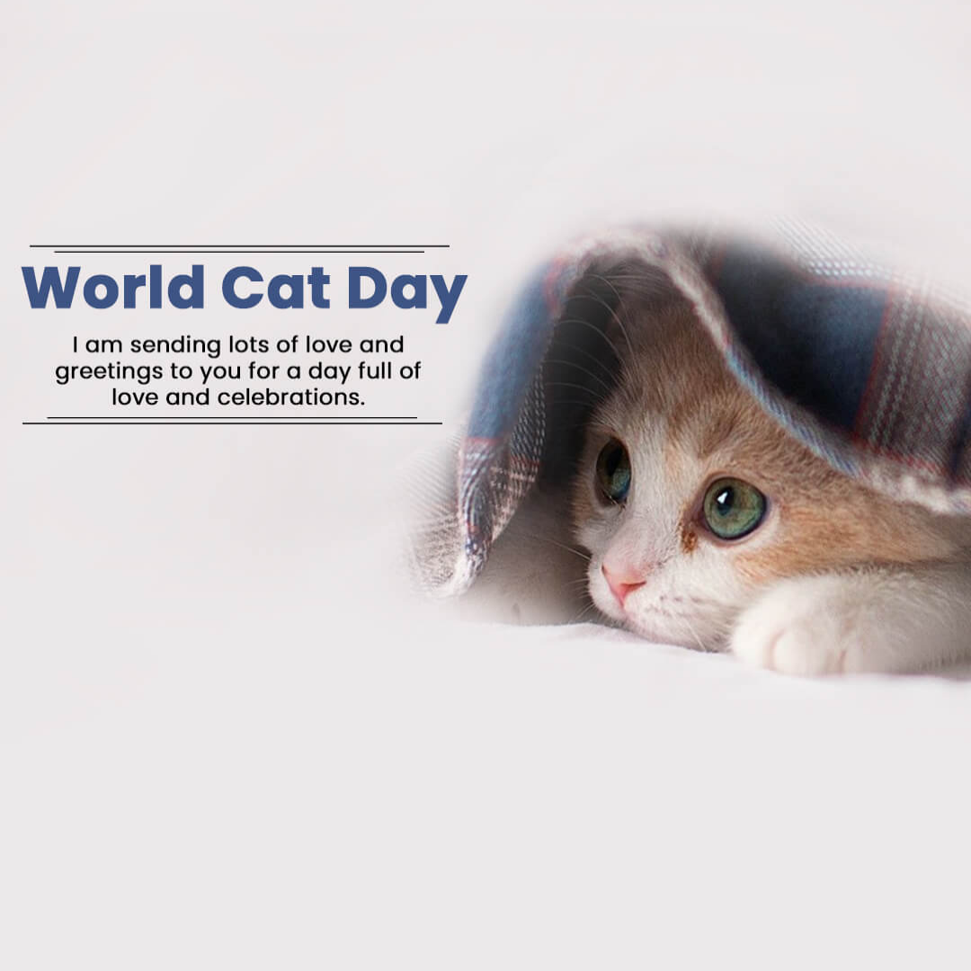World Cat Day