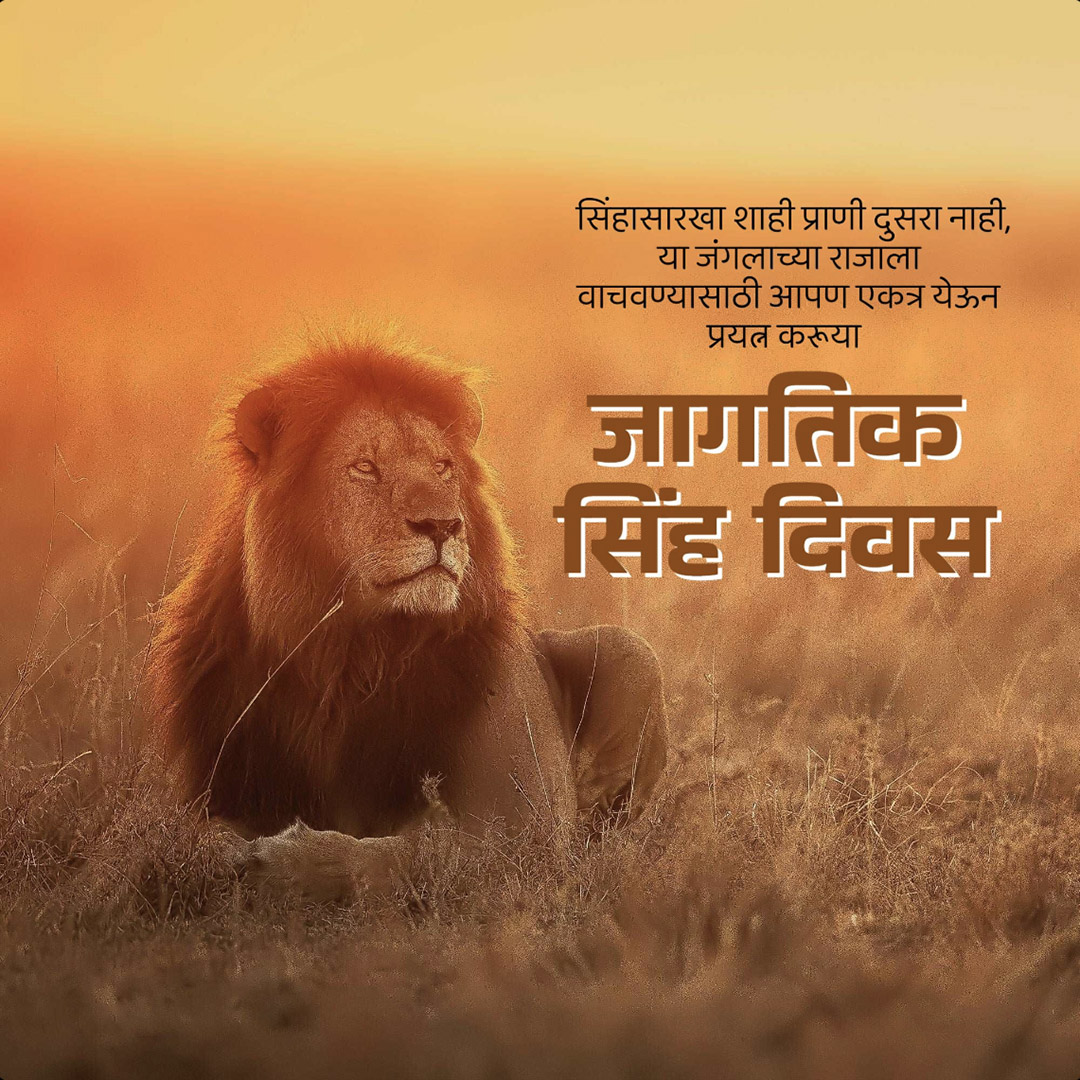 World Lion Day