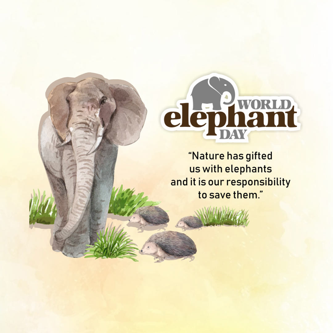 World Elephant Day