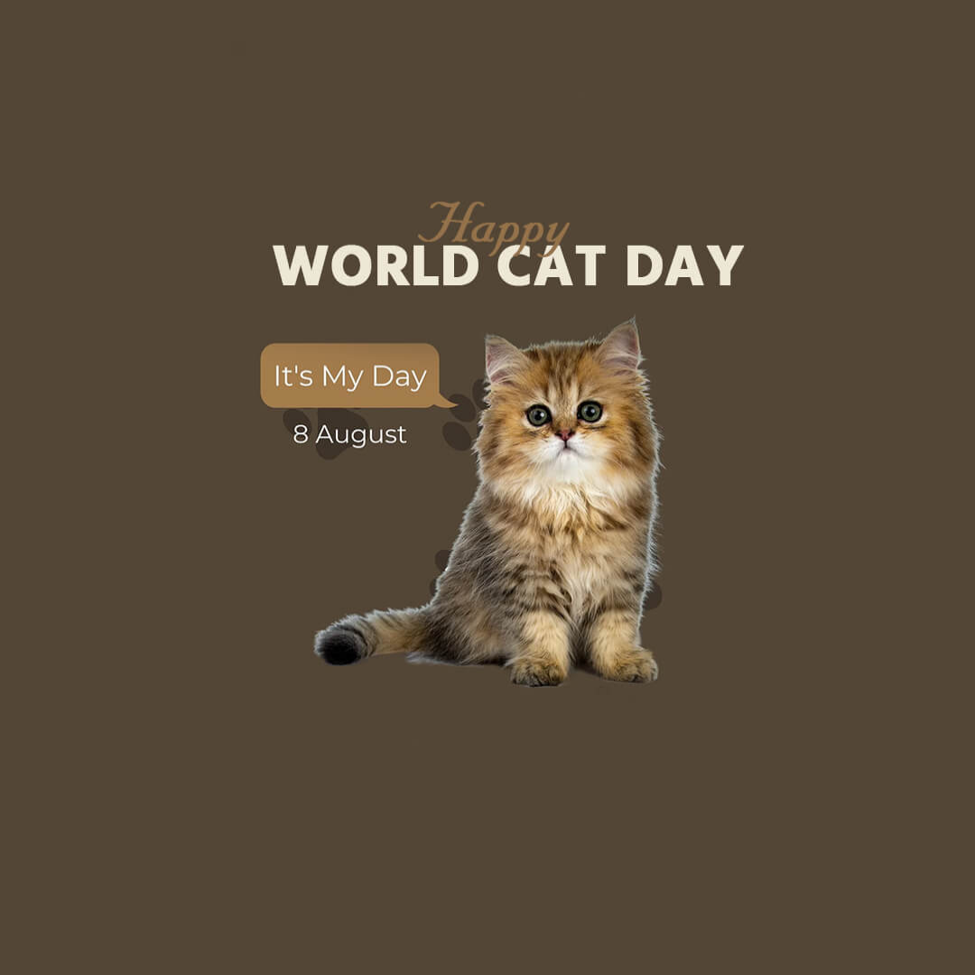 World Cat Day