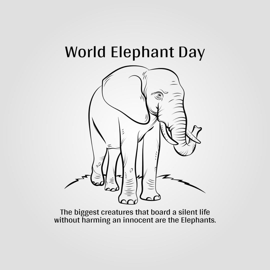 World Elephant Day